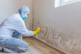 Mold Odor Removal Services in Elkhart, TX