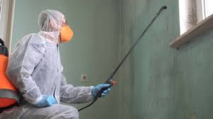 Elkhart, TX Mold Remediation Company